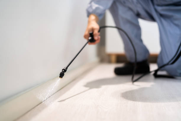 Licensed Cockroach Control service in Woodridge, IL - Nex Pest Control