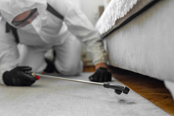 Professional Cockroach Control technician working in Woodridge, IL